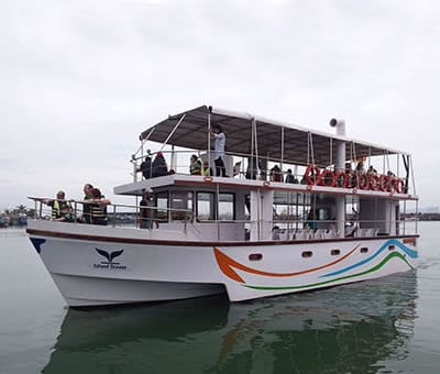 d226dd63-bc67-4090-adab-eedf0677510d